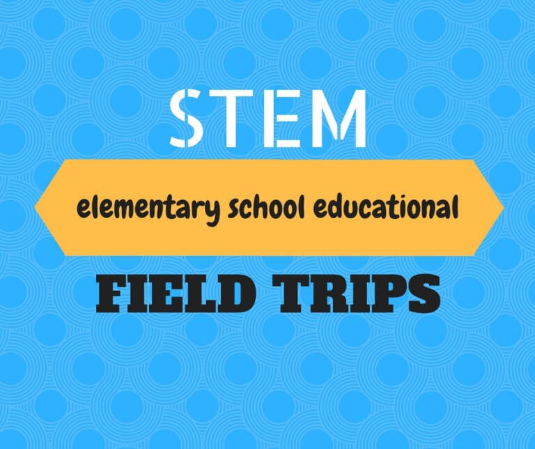 STEM Programs Fort Collins, CO Rollerland Skate Center