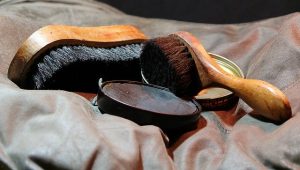 Shoe shine brushes and polish